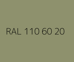 Väri RAL 110 60 20 